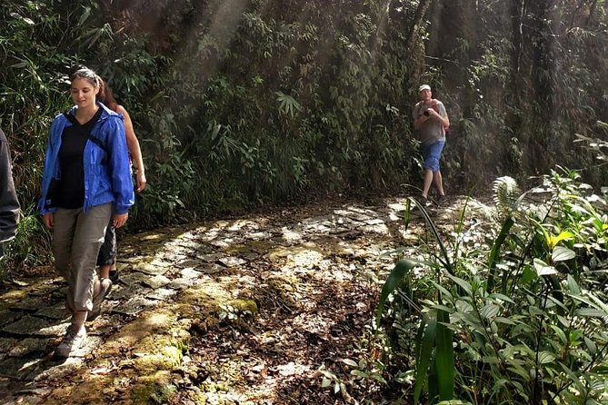 Small Group - Bach Ma National Park Trekking Tour From Hue - How difficult is this trek, really?