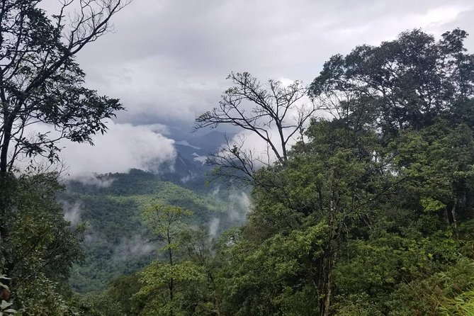 Small Group - Bach Ma National Park Trekking Tour From Hue - Small-group size: the comfort plus the pacing
