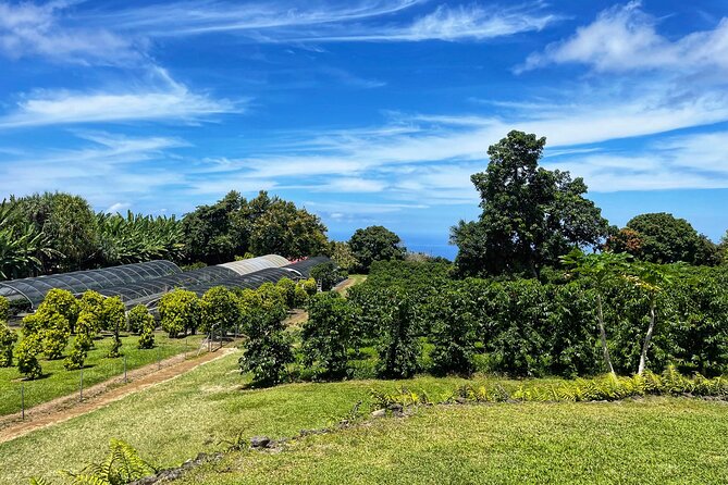 Small-Group Big Island Tour: Hawaii Volcanoes National Park and Kona Coffee Farm - Hawaii Volcanoes National Park: two hours that cover the essentials