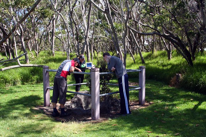 Small-Group Big Island Tour: Hawaii Volcanoes National Park and Kona Coffee Farm - Steam vents and Halema’uma’u rim: what changes as dusk hits