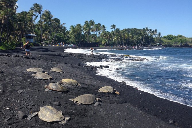 Small-Group Big Island Tour: Hawaii Volcanoes National Park and Kona Coffee Farm - Kona coffee farm stop: taste it where it’s grown