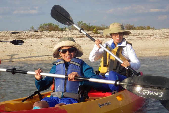 Small Group Boat, Kayak and Walking Guided Eco Tour Everglades - The small-group boat ride: comfortable cruising with wildlife context
