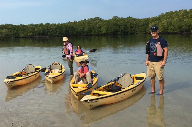 Small Group Boat, Kayak and Walking Guided Eco Tour Everglades - Wildlife sightings: what’s realistic, and what depends on conditions