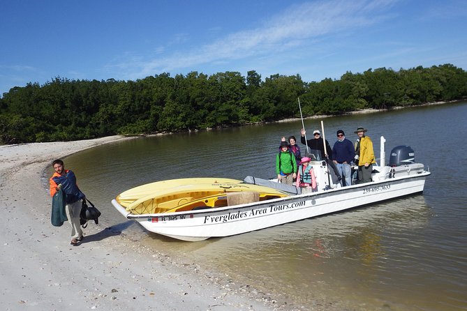 Small Group Boat, Kayak and Walking Guided Eco Tour Everglades - Price and logistics: is $199.95 worth it?