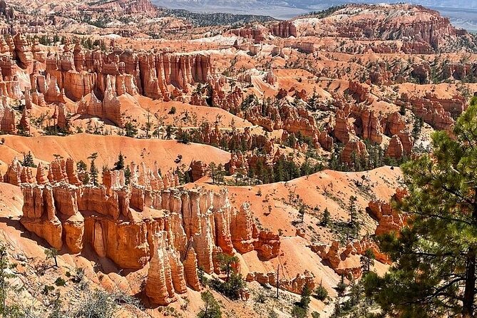 Small Group Day Tour To Explore Bryce Canyon & Zion National Park - Rim Trail options and how to choose your walking level