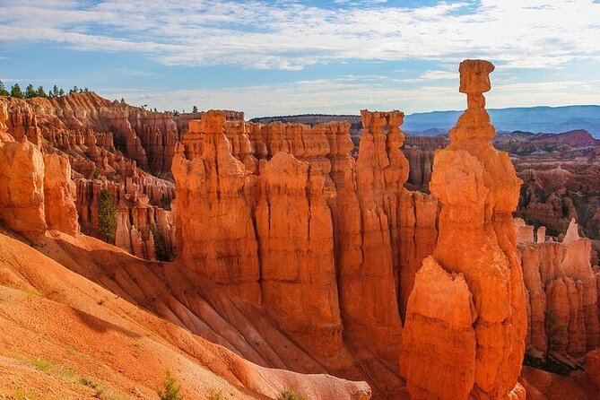 Small Group Day Tour To Explore Bryce Canyon & Zion National Park - Rainbow Point loop: a gentle win if you want less distance