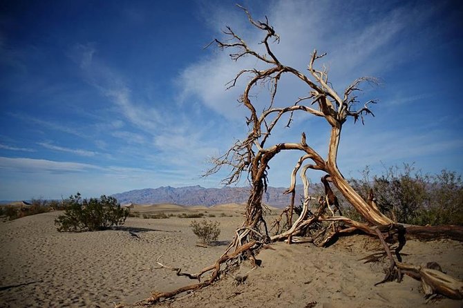 Small-Group Death Valley National Park Day Tour from Las Vegas - Comfort Tips That Matter More Than You Think