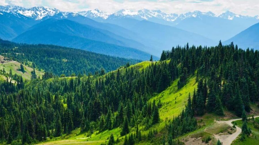 Small Group: Olympic National Park Day Tour From Seattle - Key highlights to look forward to