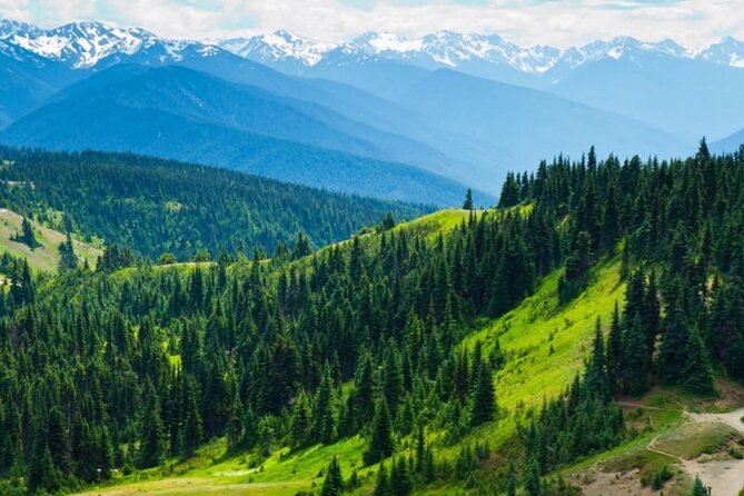 Small Group Olympic National Park Day Tour from Seattle 2CanGo - Key things to know before you go