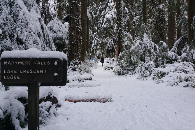 Small Group Olympic National Park Day Tour from Seattle 2CanGo - Lake Crescent: glacier-made clarity and lodge time