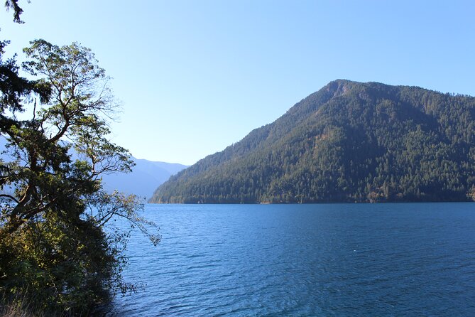 Small Group Olympic National Park Day Tour from Seattle 2CanGo - The all-day reality: you’re in the van more than you think