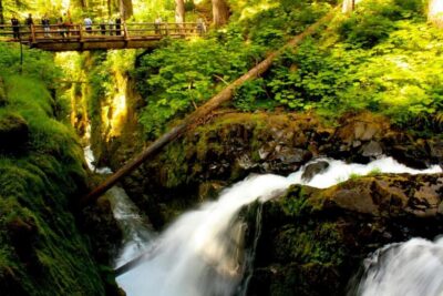 Small Group: Olympic National Park Day Tour From Seattle - Hood Canal Floating Bridge drive: the scenic route you’ll remember