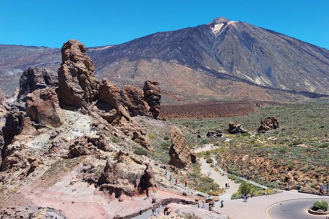 Small Group Teide National Park Volcanic and Forest Wonders - South Tenerife Pickup and the Small-Group Advantage (Up to 8 People)