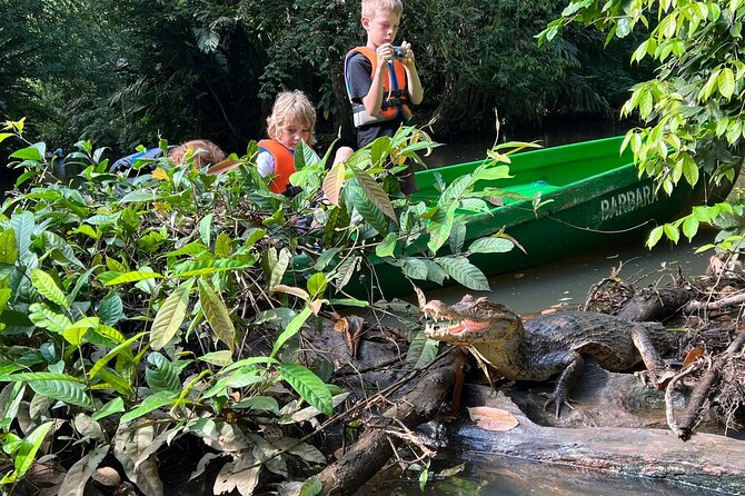 Small Group Tortuguero National Park Canoe Tour - Value math: $35 tour price plus the $16.95 park ticket