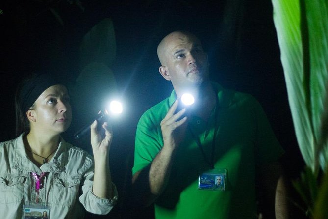 Small-Group Tortuguero National Park Night Walk in Costa Rica - The guide makes or breaks the spotting: Warren and Diego’s approach