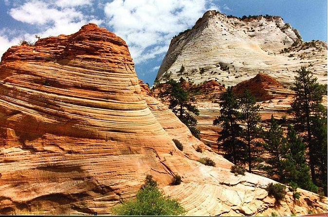 Small-Group Zion National Park Day Tour from Las Vegas - Scenic drive time: how you see the canyon without feeling rushed