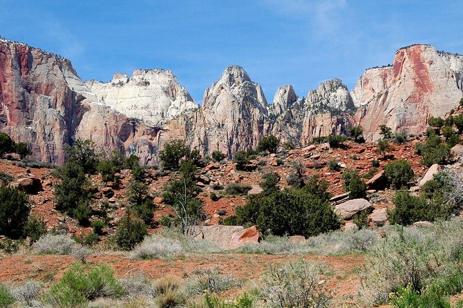 Small-Group Zion National Park Day Tour from Las Vegas - Zion–Mount Carmel Highway hour: wildlife spotting at the Floor of the Valley