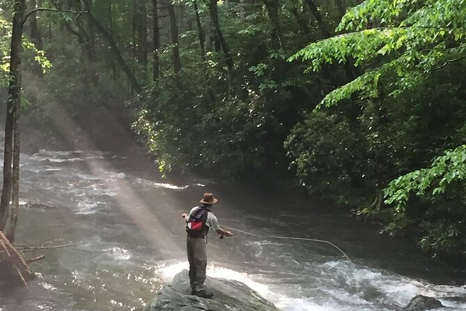 Smoky Mountains National Park Half Day Fly Fishing - Key Points to Know Before You Go