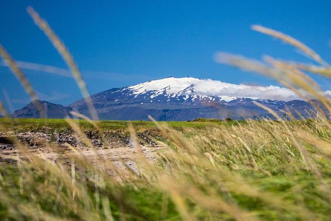 Snaefellsnes NP Small-Group Tour with Local Lunch from Reykjavik - Pickup and the small-group ride: what to expect the morning of