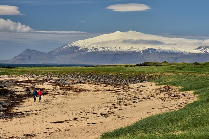 Snaefellsnes NP Small-Group Tour with Local Lunch from Reykjavik - Ytri Tunga Beach: seals, sea air, and photo opportunities