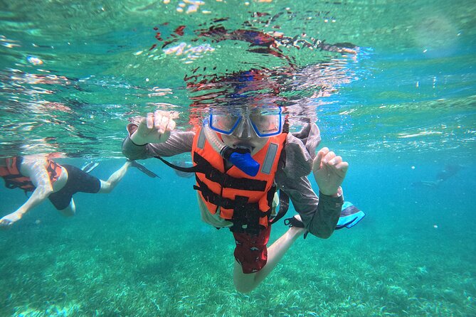 Snorkel at the Reef 2 HOURS Puerto Morelos National park - Key things to know before you go