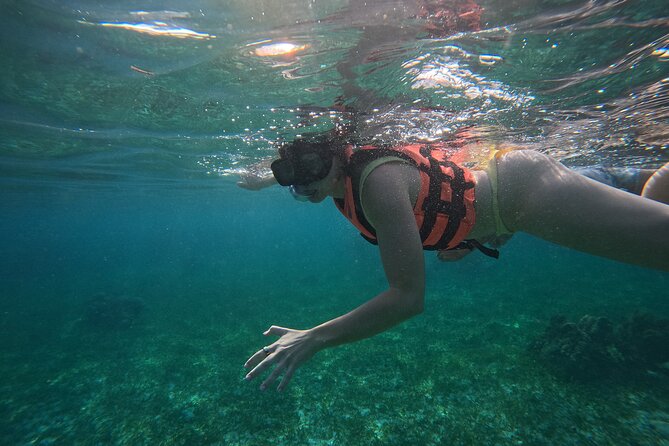 Snorkel at the Reef 2 HOURS Puerto Morelos National park - Meeting at Lighthouse Tours: Easy Start, Simple End