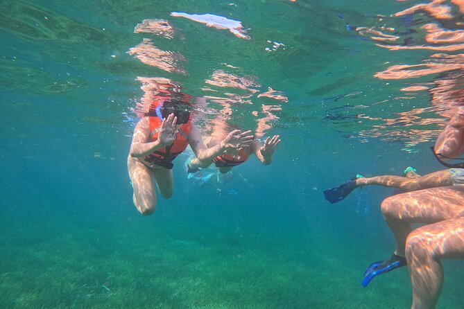 Snorkel at the Reef 2 HOURS Puerto Morelos National park - Gear Included and the Boat Ladder Reality Check