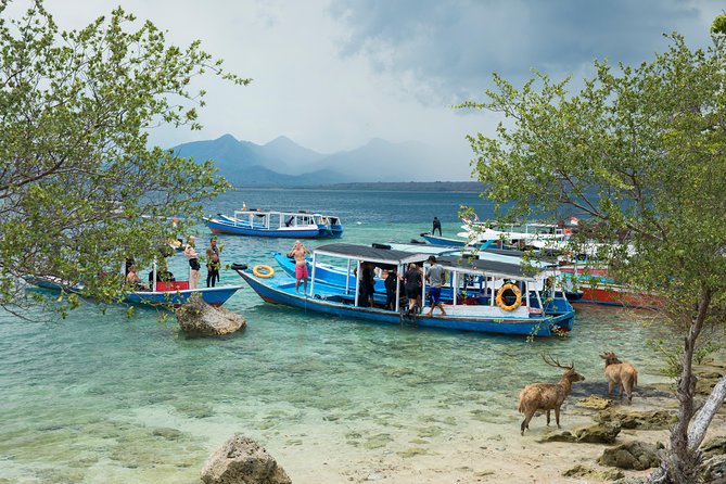 Snorkeling & Trekking at West Bali National Park - Two Days in West Bali: How the Format Works for Real-Life Schedules