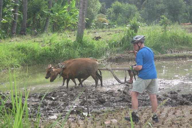 Snorkeling & Trekking at West Bali National Park - Price and Value: Is $65 Reasonable for Two Days?
