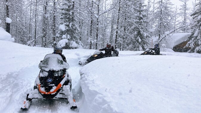 Snowmobile Classic Tour in Kenai Fjords National Park - Weather, Planning, and What to Expect Day-Of