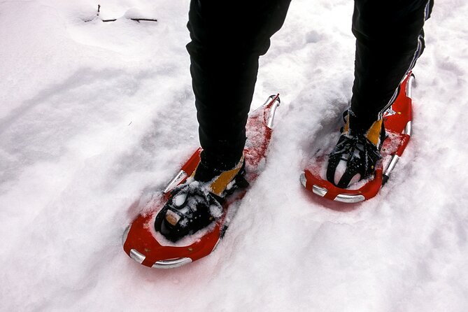 Snowshoe OR Cross Country Ski Tours in Glacier National Park - Private Tour Comfort: Flexible and Focused Without Feeling Rushed