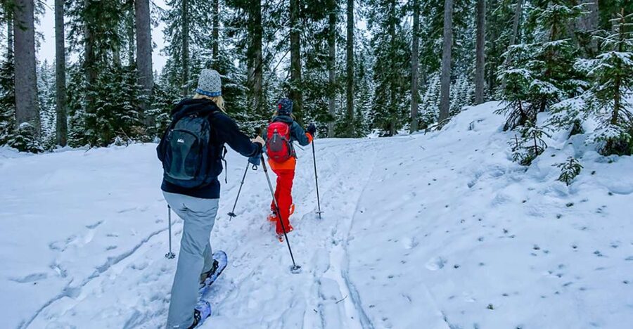 Snowshoeing in Triglav National Park - Gear fitting details that actually affect your comfort