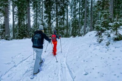 Snowshoeing in Triglav National Park - The 6-hour rhythm: from van transfer to trail time