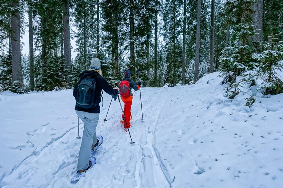 Snowshoeing in Triglav National Park - The 6-hour rhythm: from van transfer to trail time