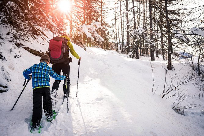 Snowshoeing Tour in Jacques-Cartier National Park - Quick snapshot: time, price, and what’s included