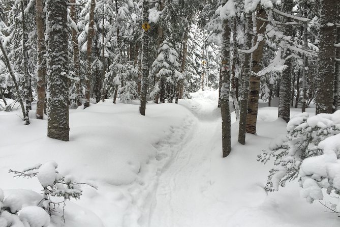 Snowshoeing Tour in Jacques-Cartier National Park - The snowshoe hike: what the guide does besides lead you