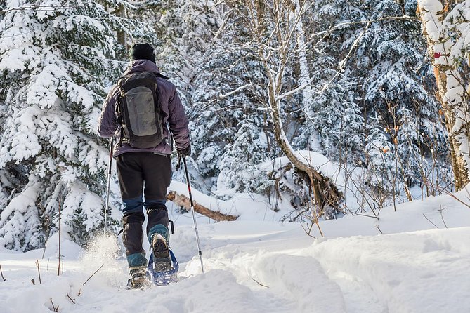 Snowshoeing Tour in Jacques-Cartier National Park - The heated tipi lunch: the break that turns a hike into a day