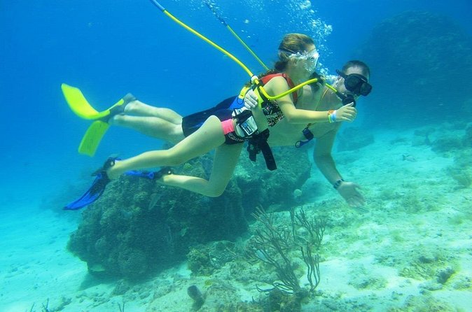 SNUBA Cozumel Underwater Adventure inside Chankanaab National Park - Marine life at the reef: what you can realistically expect