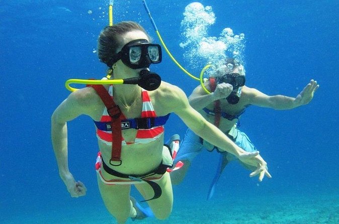 SNUBA Cozumel Underwater Adventure inside Chankanaab National Park - Getting there and the one-day “don’t mess this up” tip