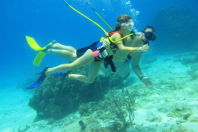 SNUBA Cozumel Underwater Adventure inside Chankanaab National Park - Price and value check: is $65 a fair deal?
