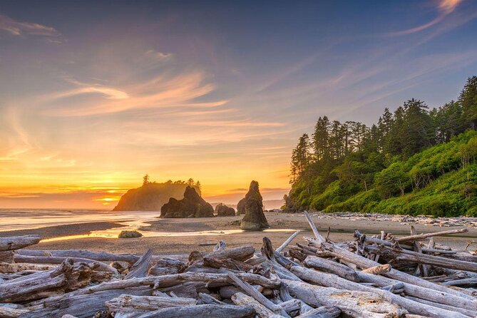 Sol Duc, Lake Crescent, and Hurricane Ridge Guided Tour in Olympic National Park - Key highlights worth planning for