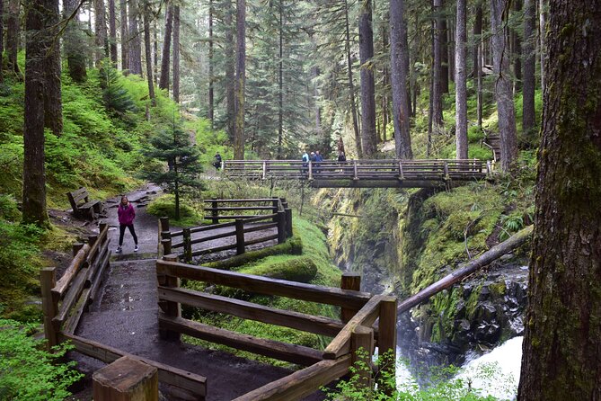 Sol Duc, Lake Crescent, and Hurricane Ridge Guided Tour in Olympic National Park - From Port Angeles to Olympic’s highlights, no rental car required
