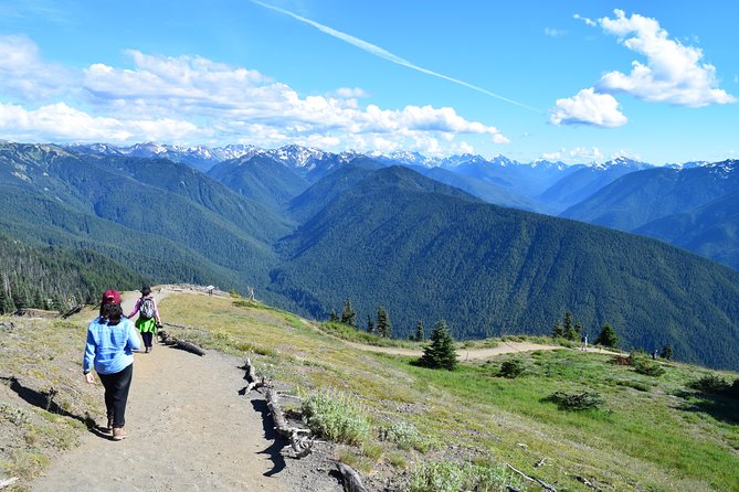 Sol Duc, Lake Crescent, and Hurricane Ridge Guided Tour in Olympic National Park - Lake Crescent Lodge: a 30-minute reset with shoreline views