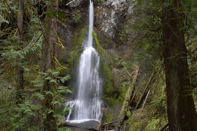 Sol Duc, Lake Crescent, and Hurricane Ridge Guided Tour in Olympic National Park - Port Angeles snack stop: the smartest lunch move on the day