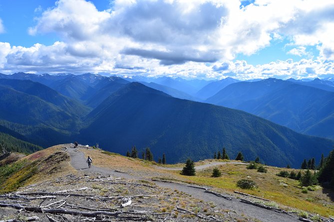 Sol Duc, Lake Crescent, and Hurricane Ridge Guided Tour in Olympic National Park - Is $195 a good value for Sol Duc, Lake Crescent, and Hurricane Ridge?