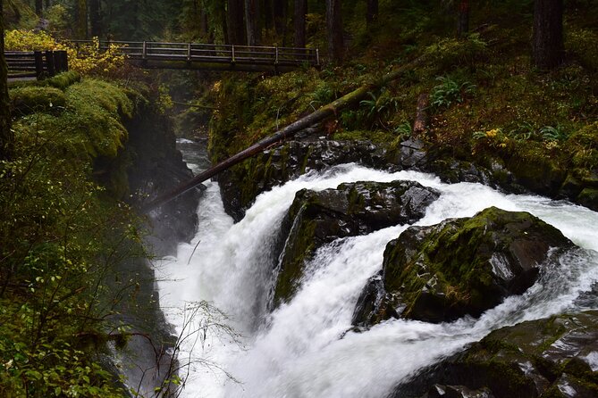 Sol Duc, Lake Crescent, and Hurricane Ridge Guided Tour in Olympic National Park - Who should book this guided Olympic day, and who should skip it