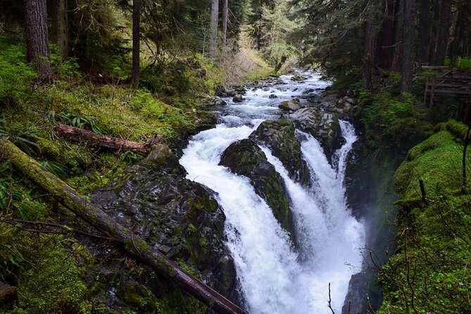 Sol Duc, Lake Crescent, and Hurricane Ridge Guided Tour in Olympic National Park - Sol Duc Falls: a 2-mile roundtrip through a forest canyon