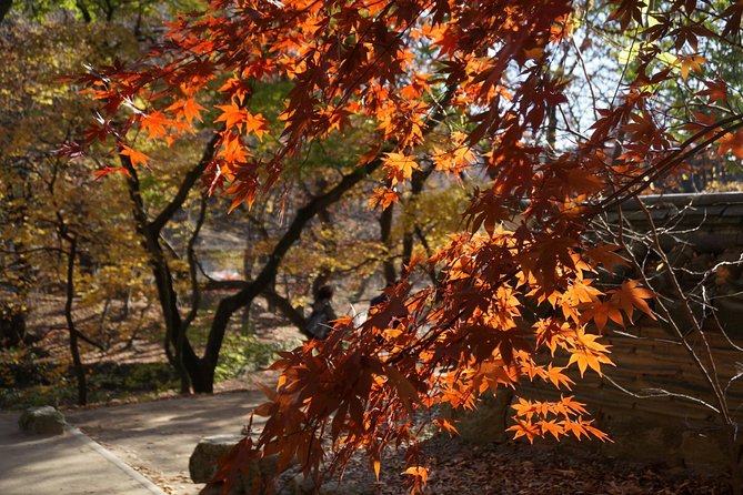 Songnisan National Park & Beopjusa Temple UNESCO site Private Tour - Mr. Kim’s Guidance: The Stories Behind Korean Culture on the Road