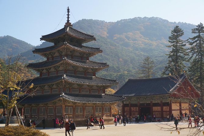 Songnisan National Park & Beopjusa Temple UNESCO site Private Tour - Timing, Tickets, and Comfort Tips That Actually Help