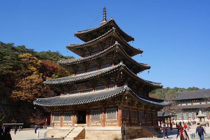 Songnisan National Park & Beopjusa Temple UNESCO site Private Tour - Choosing Your Walk: 2 Hours on Trails or the Munjangdae Climb